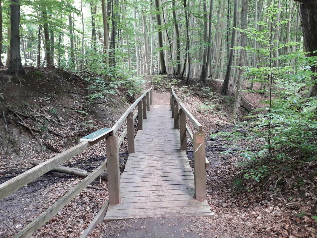 Ferienwohnung Wellenreiter Sassnitz Esterno foto